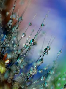 Abstract Art Beads