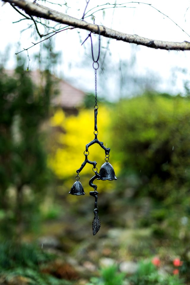 Blur Branch Bright