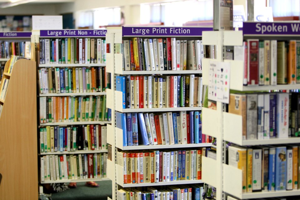 Arranged Bookcase Books