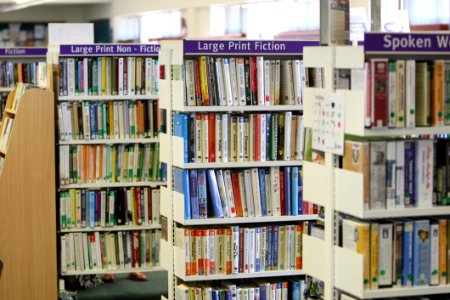 Arranged Bookcase Books