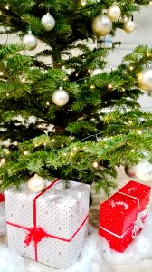 Advent Balls Celebration