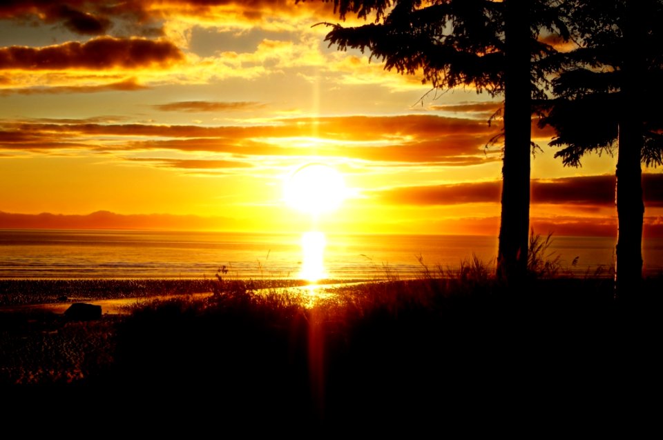 Backlit Beach Dawn photo