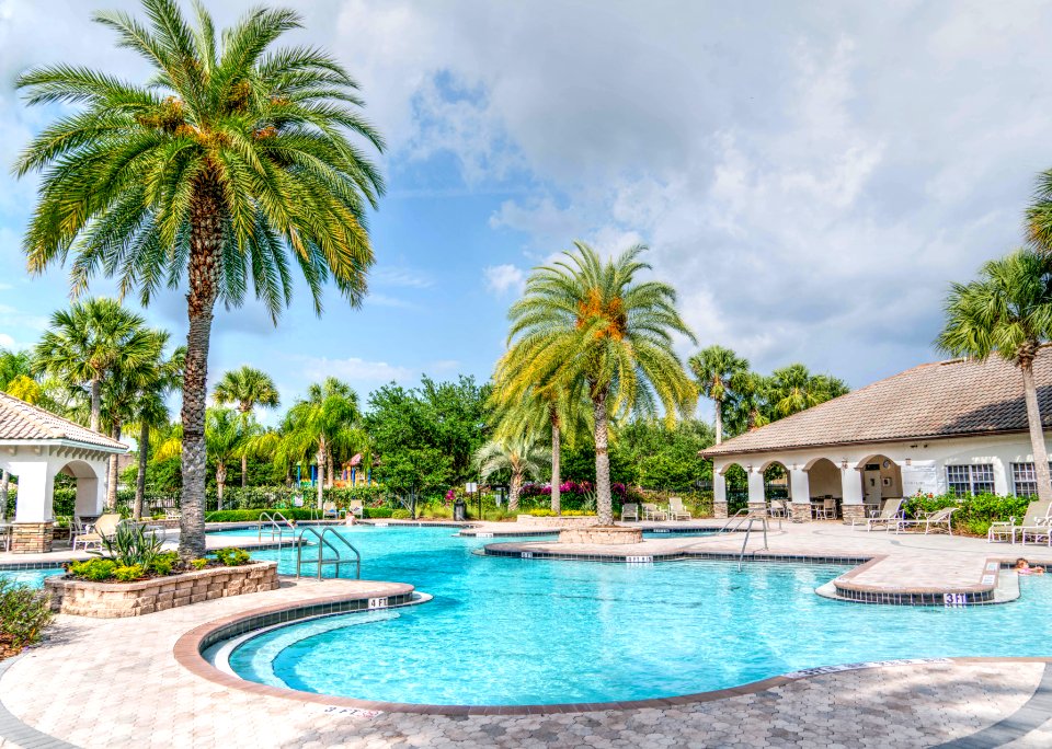 Palm Trees Paradise