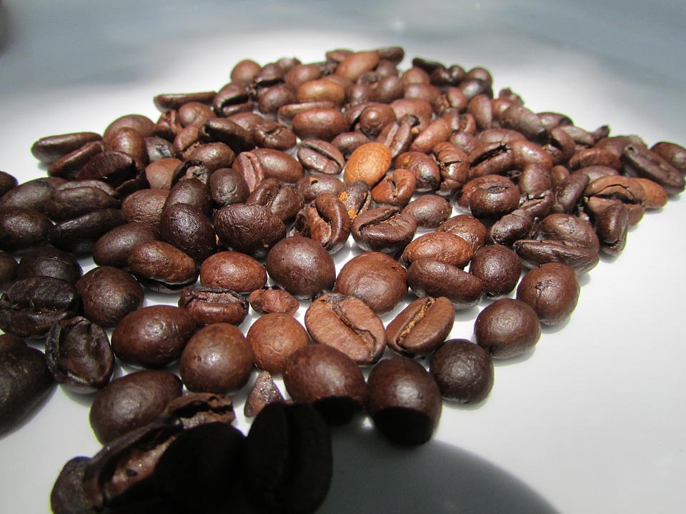 Roasted coffee beans dharwad india