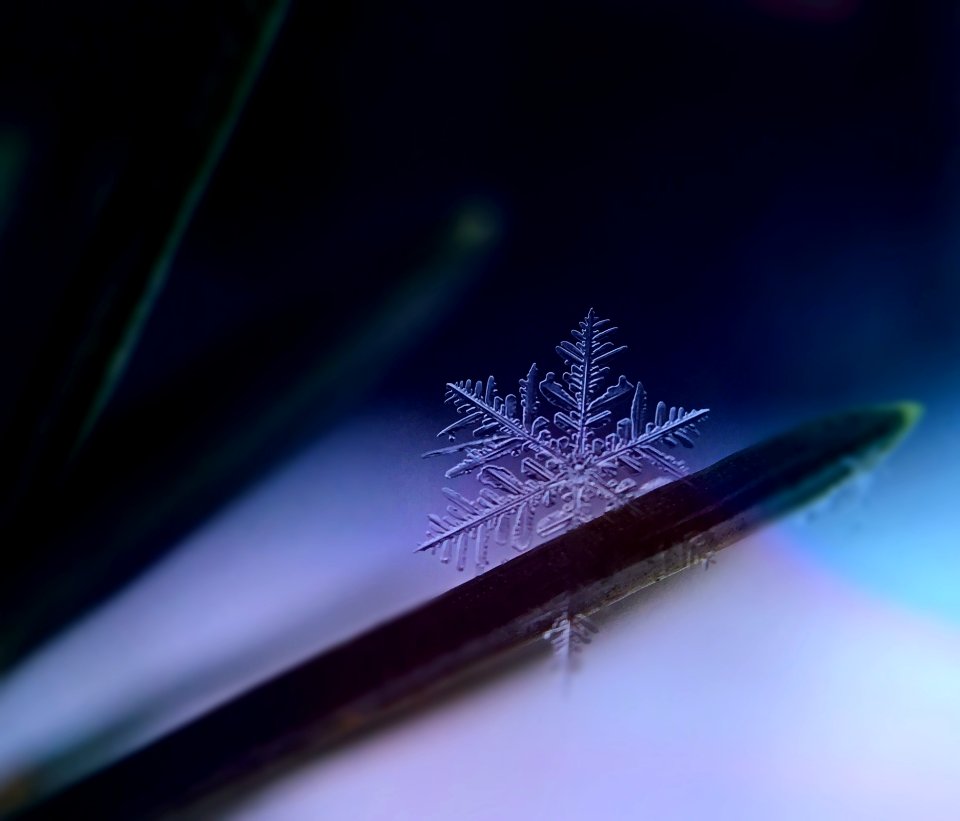 Abstract Art Blur