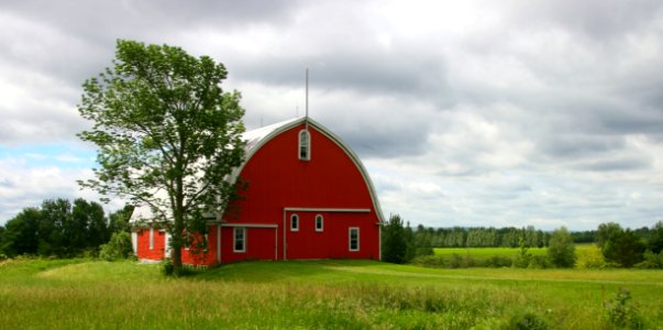 Agriculture Architecture Barn
