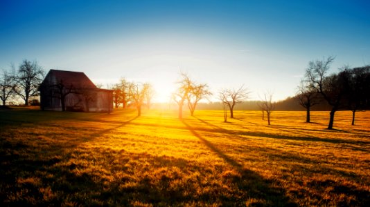 Agriculture Barn Countryside