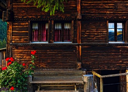 Red Petaled Flower By Porch Of Brown Wooden House photo