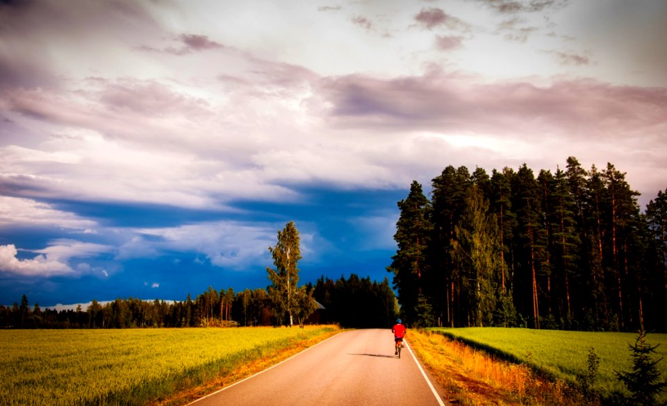 Road Amidst Trees In Forest Against Sky
