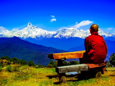 Rear View Of A Man Sitting On Landscape