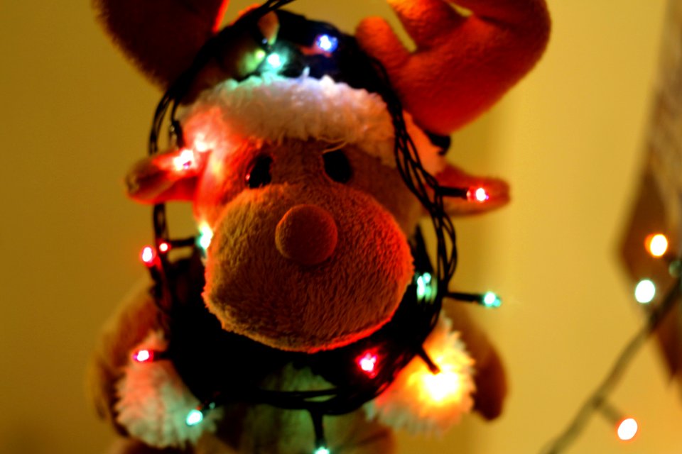 Close-up Of Illuminated Christmas Tree