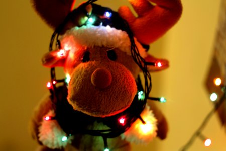 Close-up Of Illuminated Christmas Tree photo