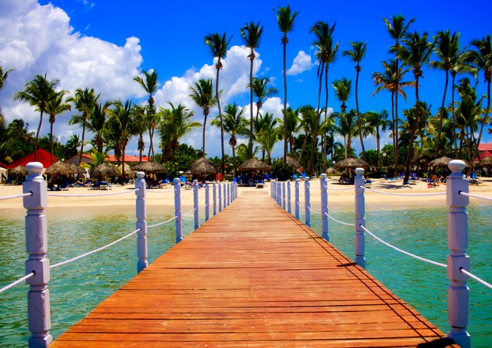 View Of Palm Trees On Beach