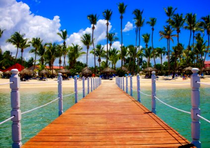 View Of Palm Trees On Beach