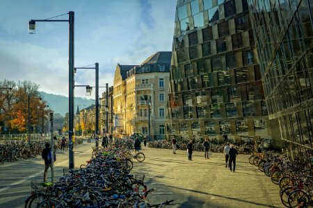 Architecture Bicycles Buildings