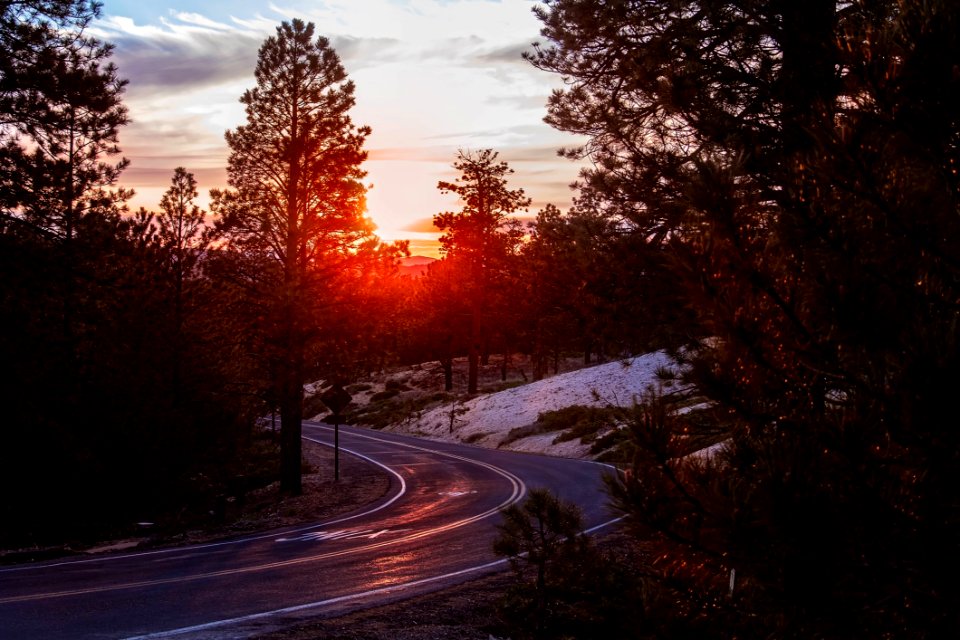 Road Amidst Trees Against Sky During Sunset