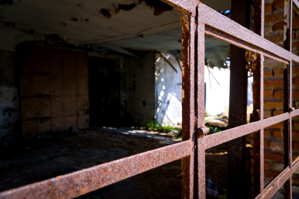 Abandoned Daylight Decay