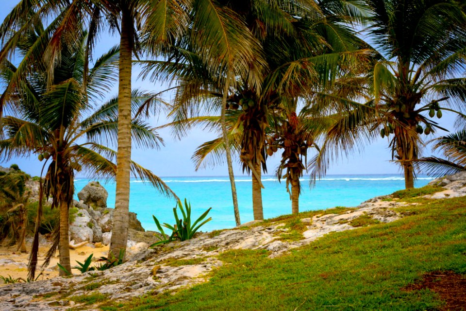 Beach Clear Water