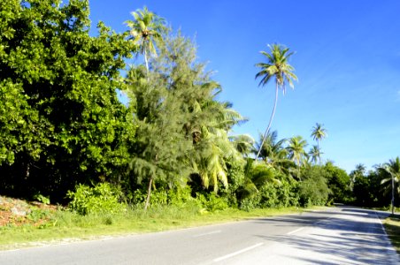 Country Daylight Environment