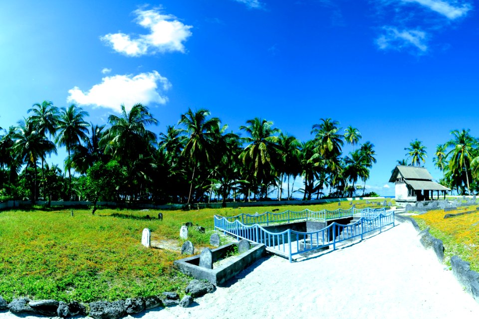 Clouds Coconut Trees