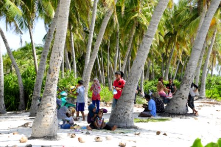 Beach Children Coconuts photo