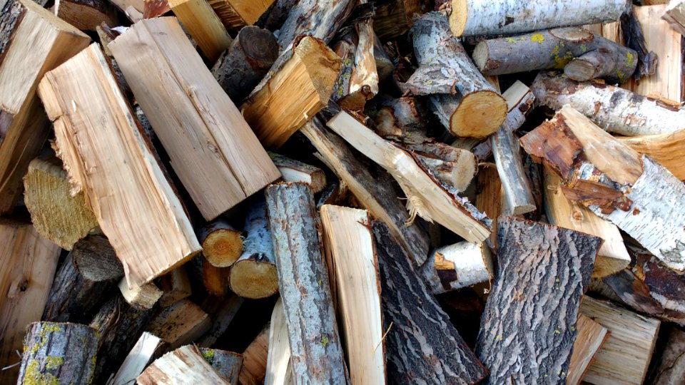 Chopped Wood Close-up