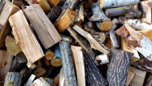Chopped Wood Close-up