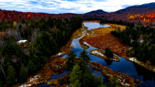 Forest Landscape Mountain