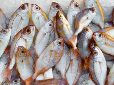 Catch Fish Market photo