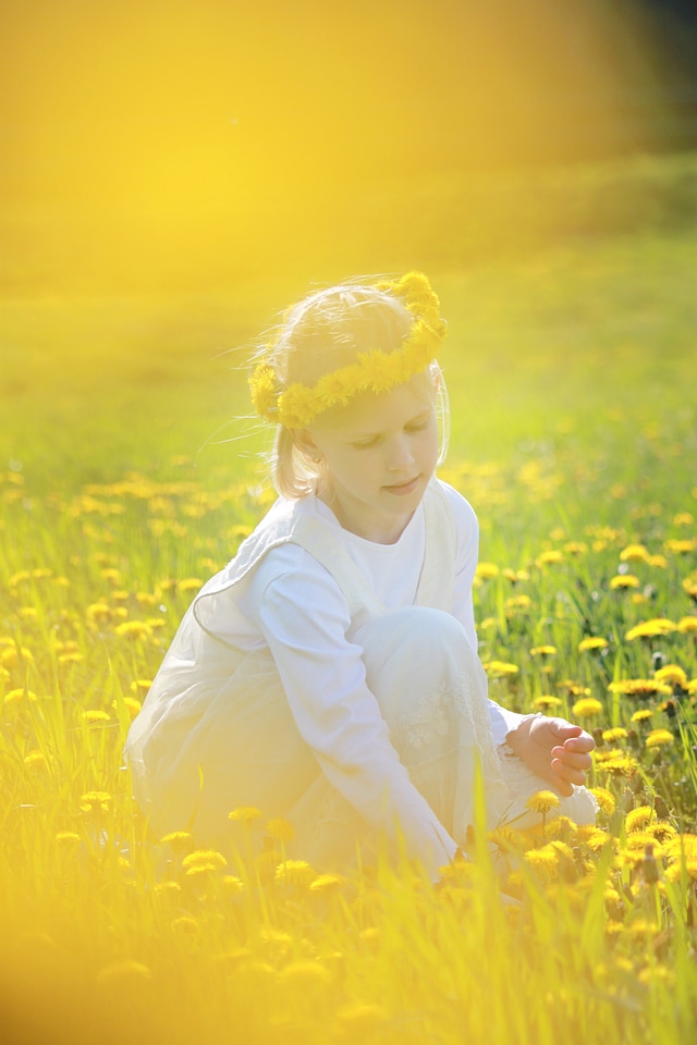 Meadow yellow spring