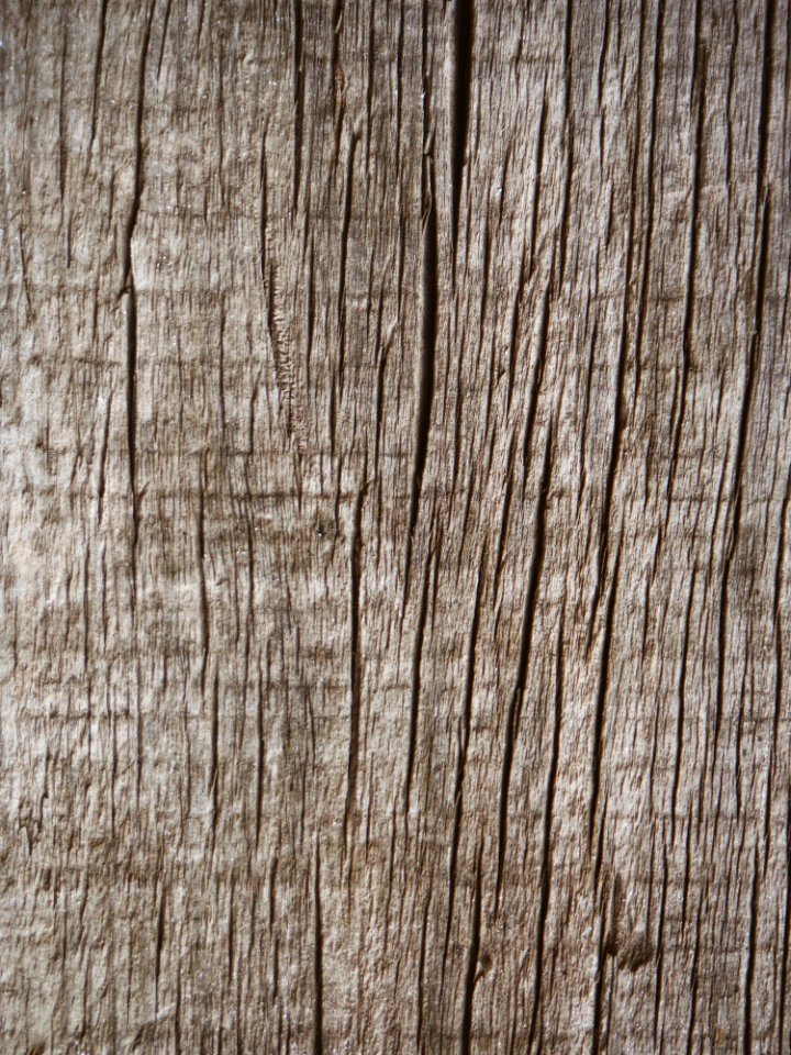 Board Color Dried