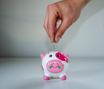 Pink And White Ceramic Pig Coin Bank photo
