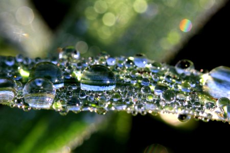 Blur Bubble Clean