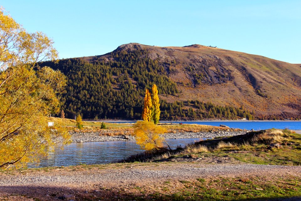 Yellow Tree On Lake With Brown Mountain Background Photo