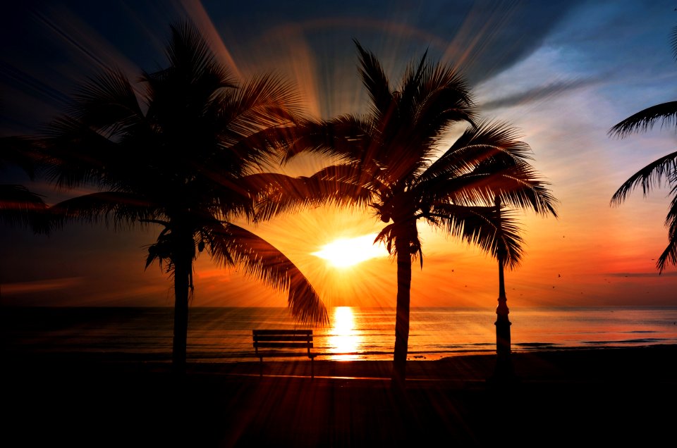 Beach Sunset Bench