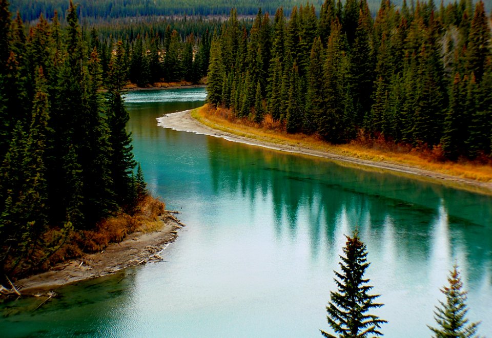 Green Trees Surrounding Lake