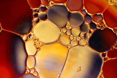 Bubbles Chemistry Close-up