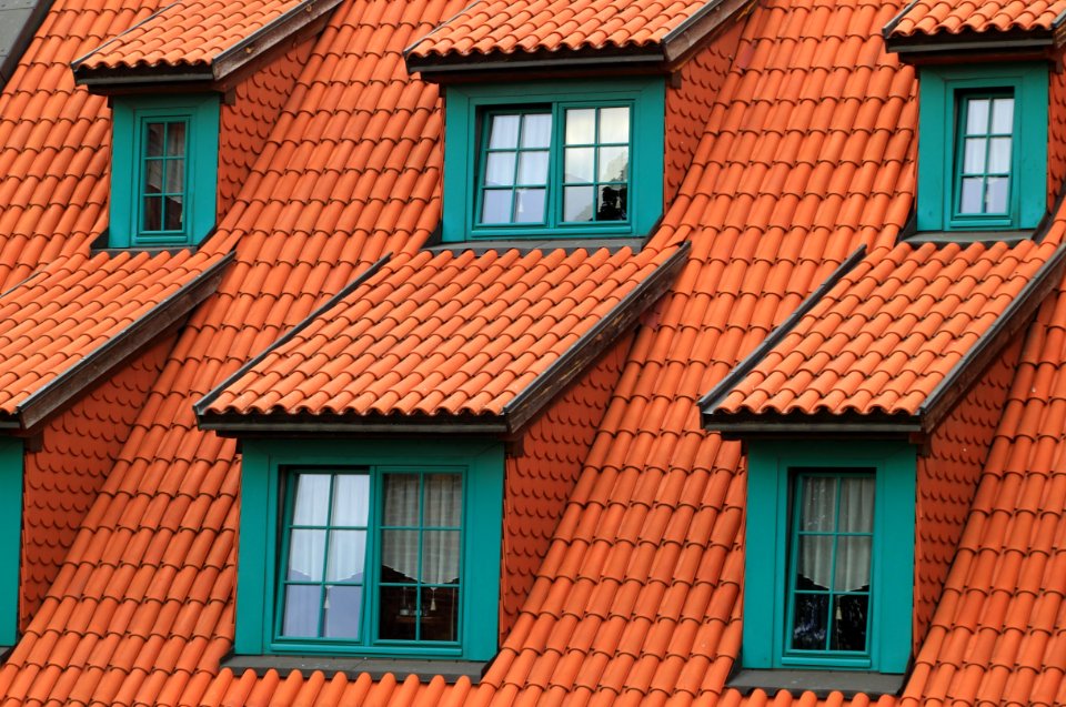 Architecture Roof Windows photo