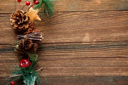 Celebration Christmas Decoration