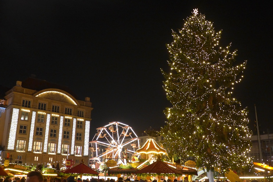 Christmas tree the lights night