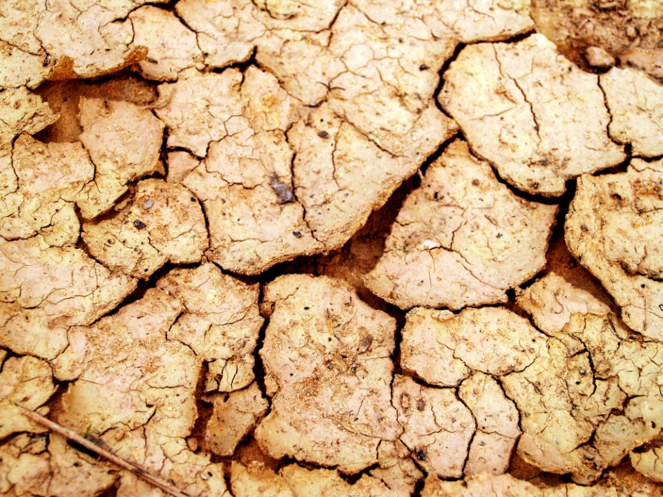 Arid Clay Close-up