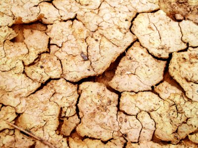 Arid Clay Close-up