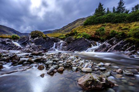 Beautiful Bushes Environment photo