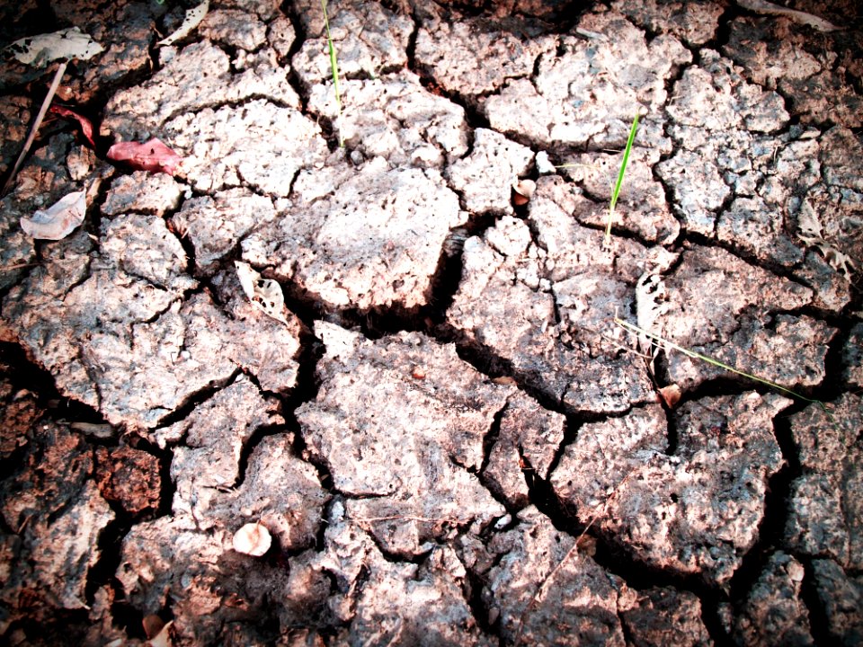 Clay Close-up Cracks