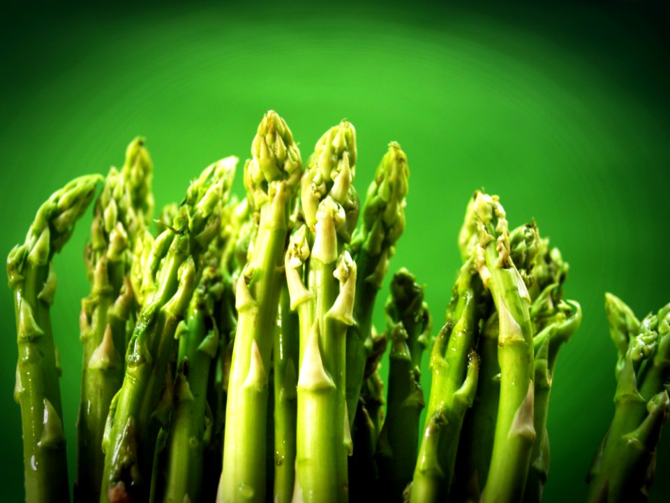 Agriculture Asparagus Bunch