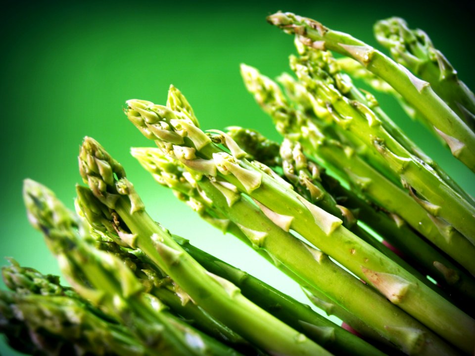 Agriculture Asparagus Autumn