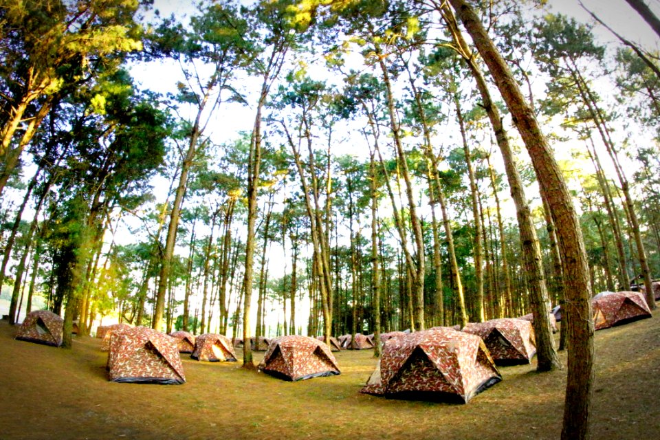 Camp Camping Environment