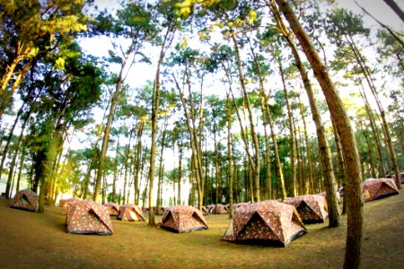 Camp Camping Environment