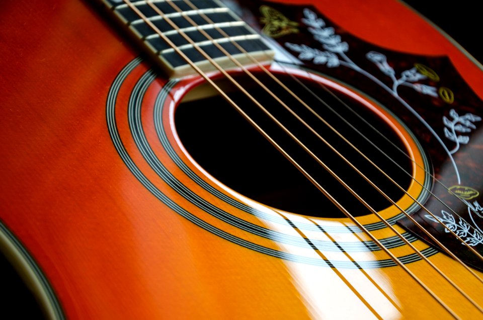 Brown And Black Leaf Print Guitar