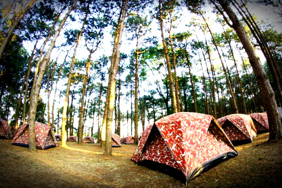 Camp Camping Environment